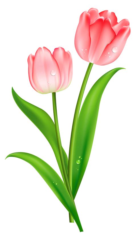 cartoon tulips pictures|cartoon tulip clip art.